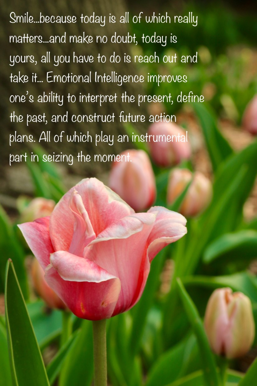 5D6FF4EA-C85B-489B-807E-DAA8D195F7F7