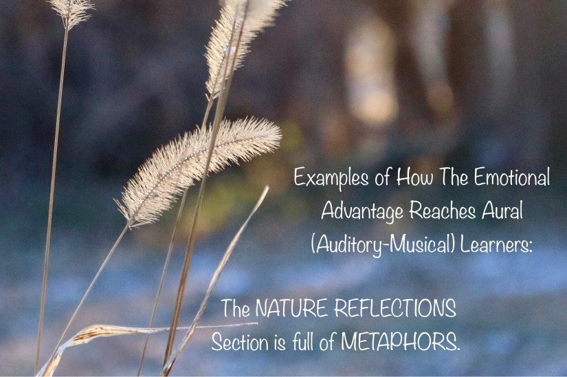 FBDC521F-47D1-4A04-9634-255178BEA7BA