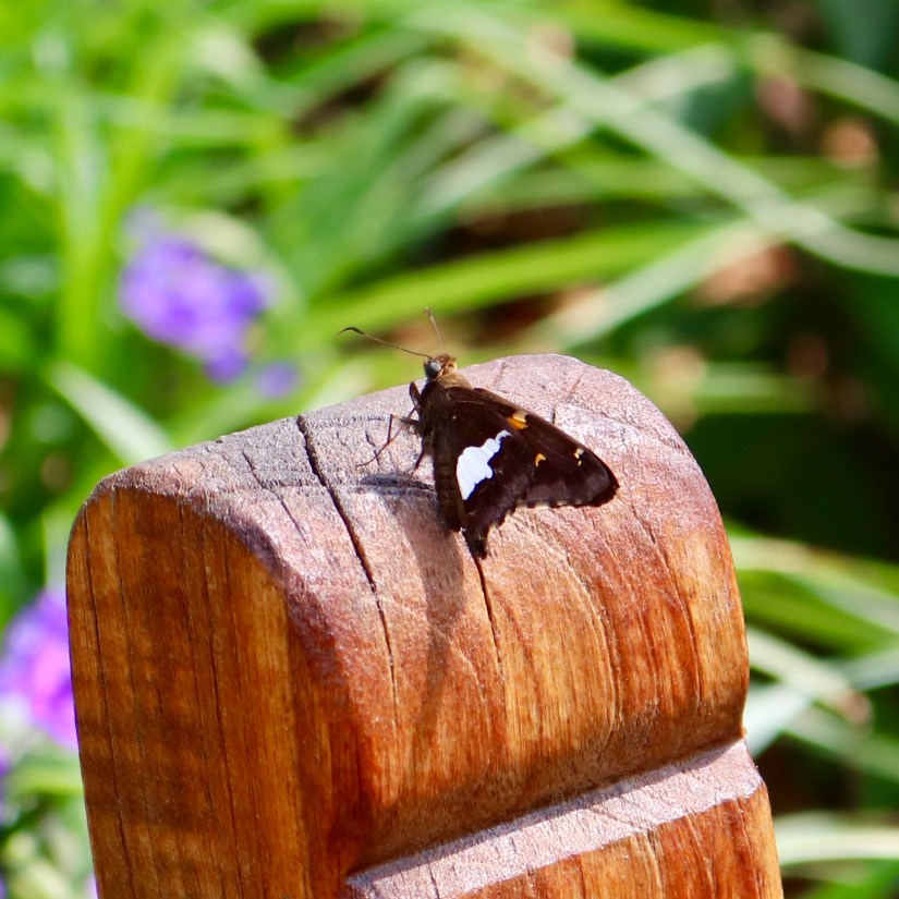 0BAEE126-3332-47CA-831A-A7C934064AA9