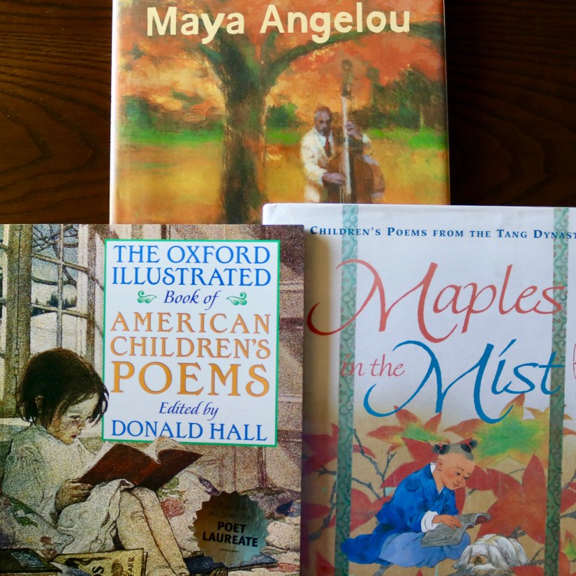 12844466-D4CB-453E-8F83-B563D7E5530C