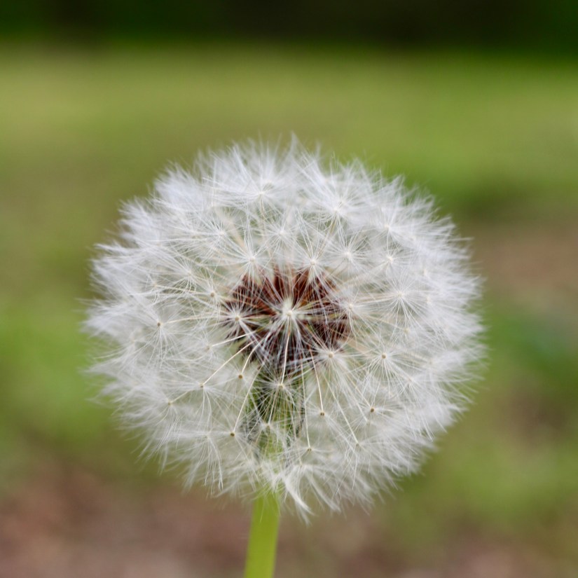 5D393CBE-CA27-49D5-A39B-80AA6731D0D1