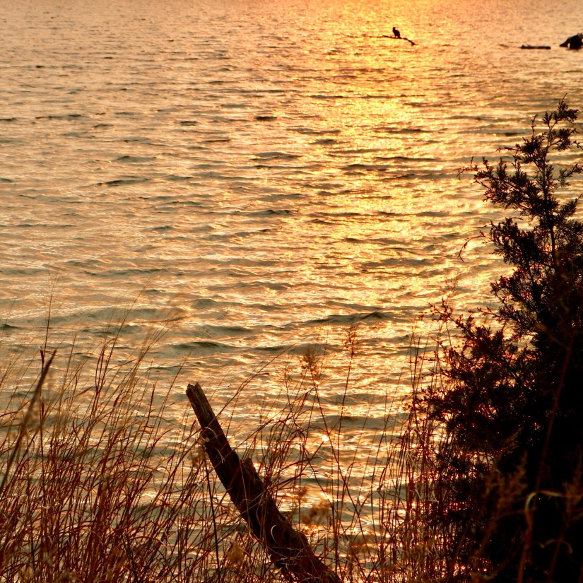 60D01106-8B74-46B9-BEC6-E913329C0444