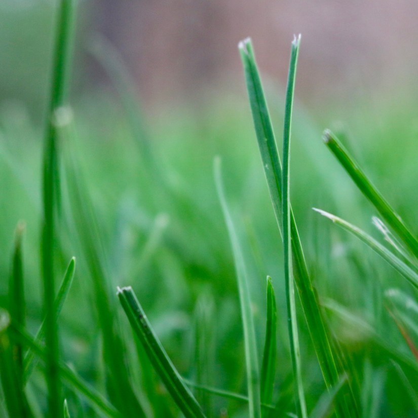 78C80199-2C18-44E9-8E85-BD29E8179F73