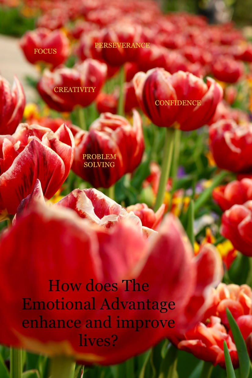 993E2304-954F-4A8F-802C-A3E8027708F8