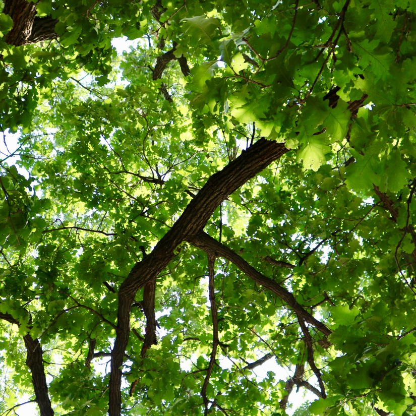 0EBC283B-10B7-4D7C-9F13-B0B19D62F65F