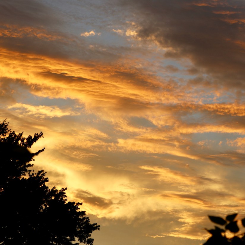 6928B44B-DADC-4CB1-829E-3C70F6BA6E09