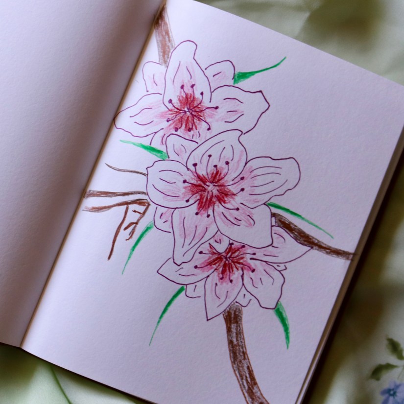 87F343E4-9650-43AD-864A-91E823E51629