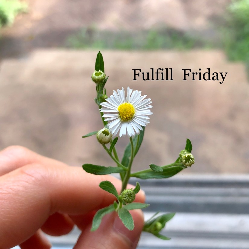 CC4D65FF-469E-402C-B0C4-D67D39B8BF2C