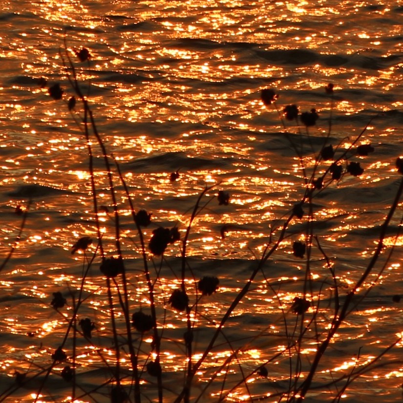 0230F5B7-B8E9-47A9-8ABB-3BD5A9E792B5