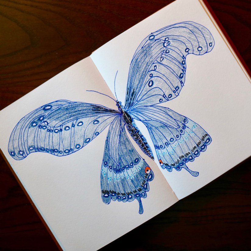 30D5C420-58F4-4E66-B9C0-264C067F0E57