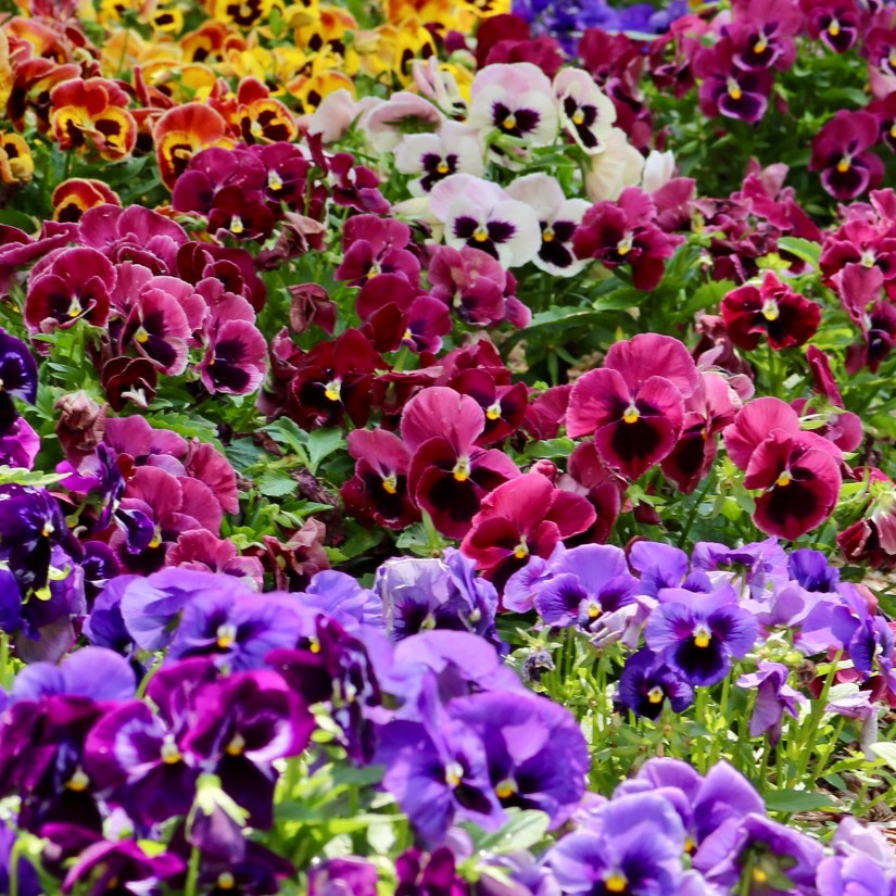 50BA1454-706E-46E8-B439-A71E06E5EAF7