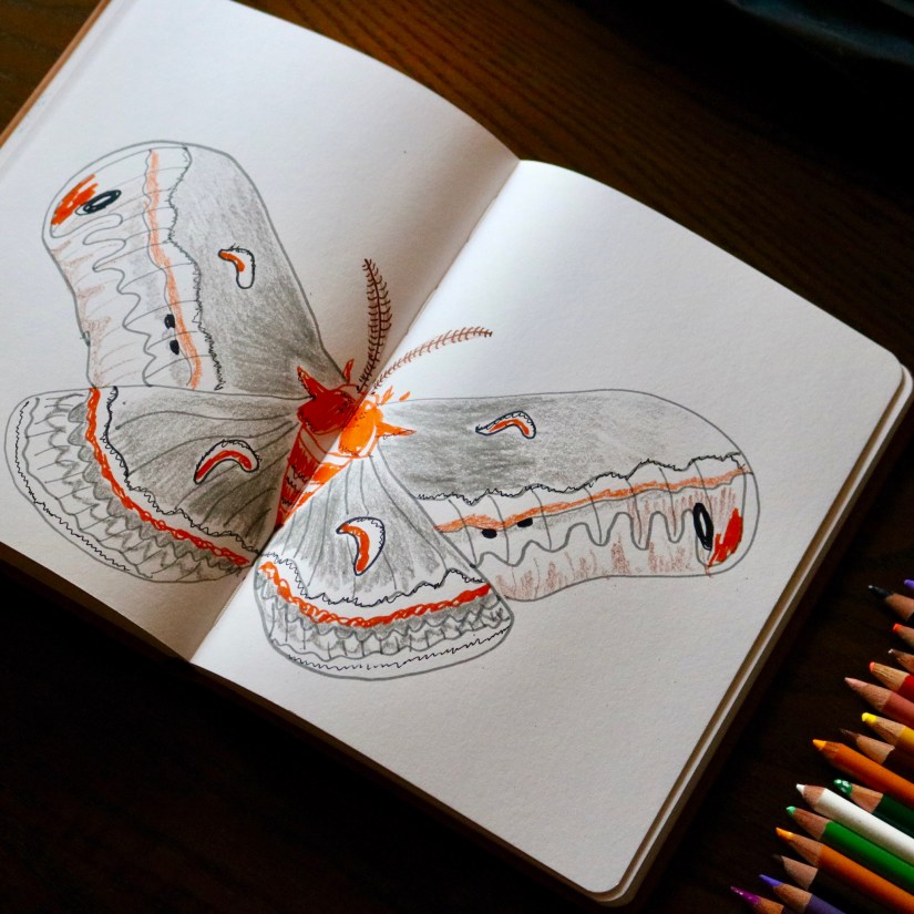 60783F37-97AD-4732-9D72-FD927D82D446