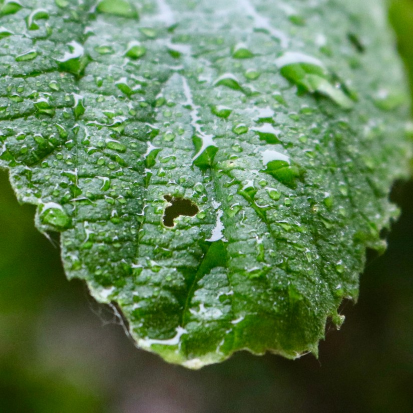 9193AB46-B2C4-4493-BE26-7A2779DBB40D