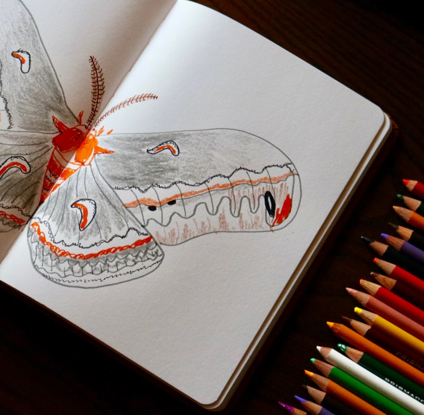 C27C6384-E819-4303-83C4-9C9F88C96A36