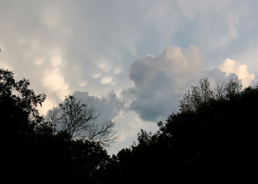 DBC136E2-F949-453D-A8B3-6B4A4E66F2AC