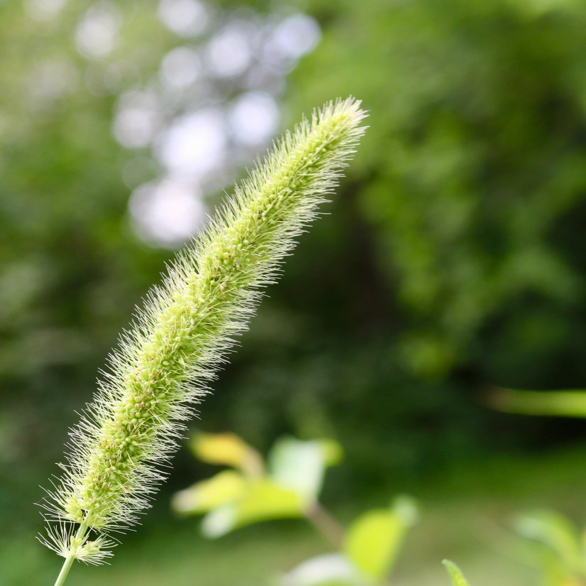 0749DE9C-2270-4858-99A5-41A5B0406EEE