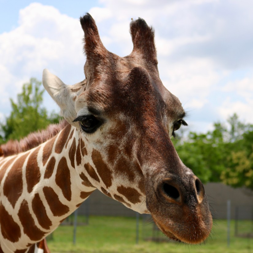 2DD8B885-C194-4F3E-882C-1E54BE591D12