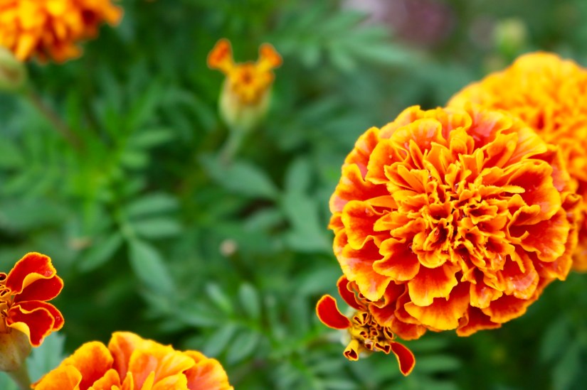 445E2B72-B166-4B5B-B39A-8D5945C6C146