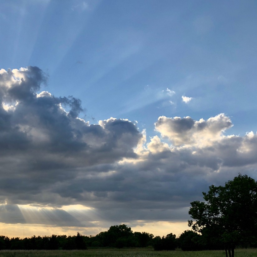 46432B1D-3E21-4101-841E-CEAD9279CE72