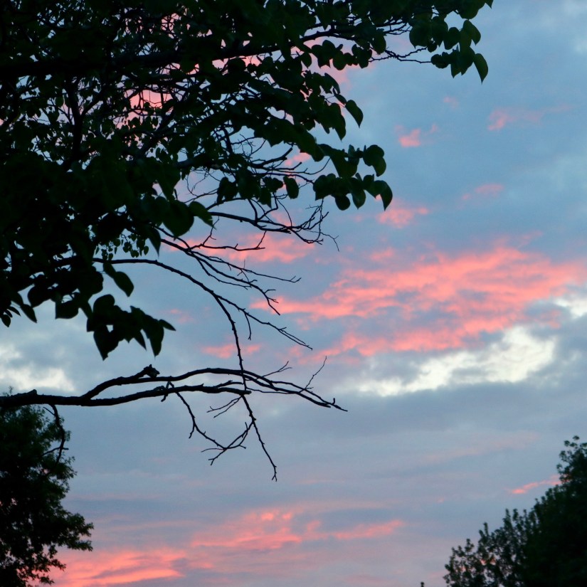 76B5C302-A415-43BF-82F1-7DA7DE5AF266