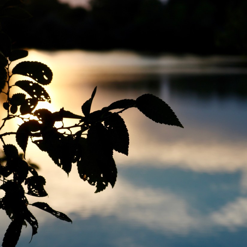 7BC19594-5D28-45A7-B376-BD6F447A0381