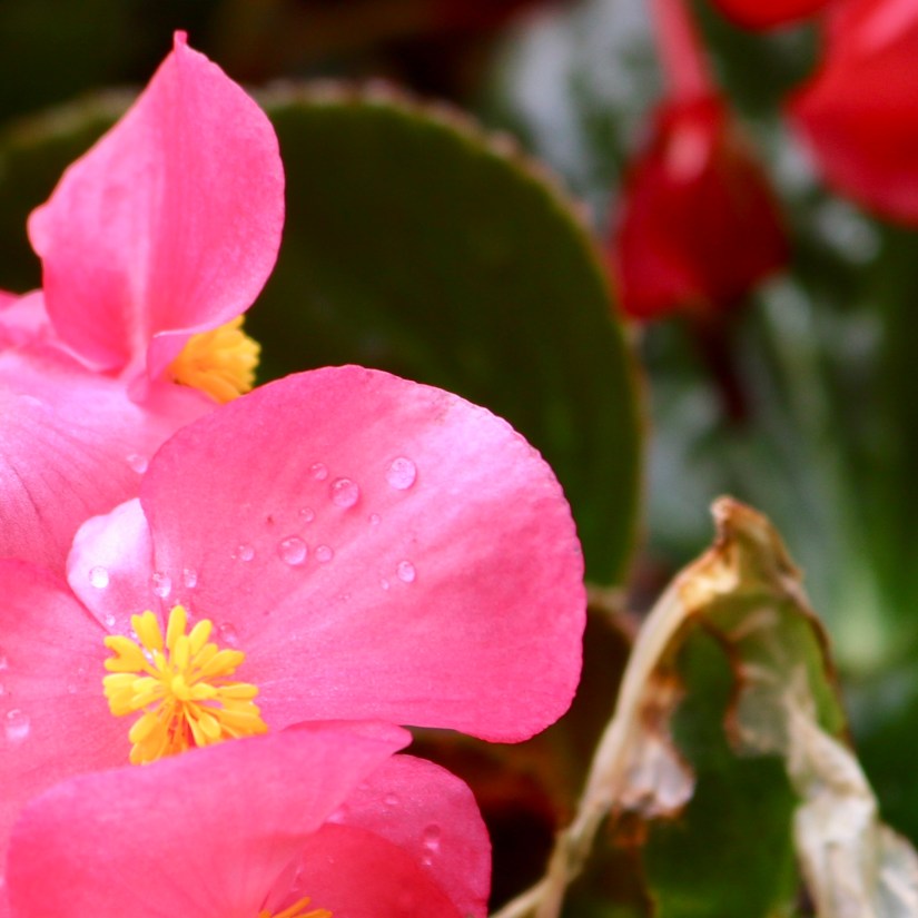 86775136-F1AC-4DCB-ABBB-644027E70EA1