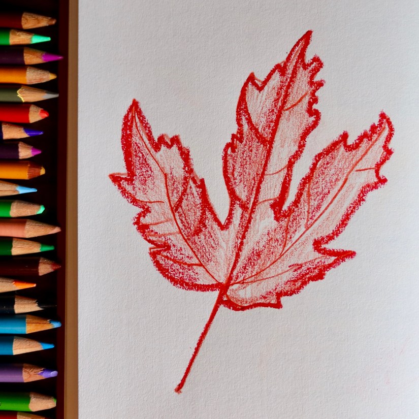 5F51D4BB-1AAD-453E-83EA-F658C7978529