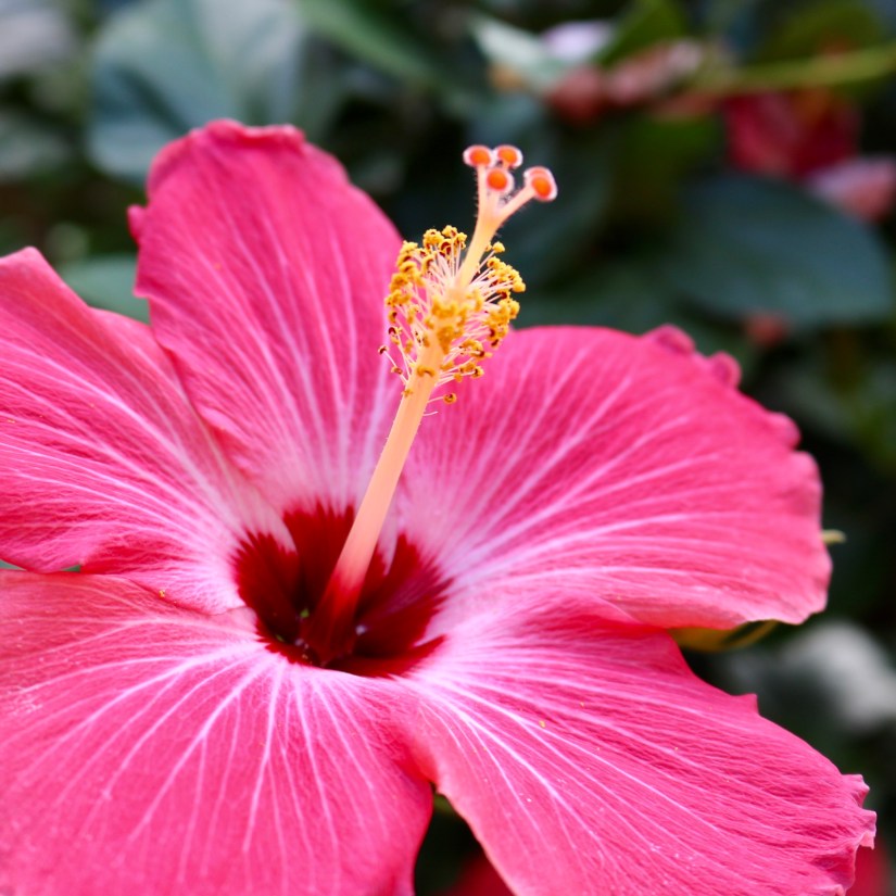 666F8538-BCF4-4607-8591-4F6AB3130C10