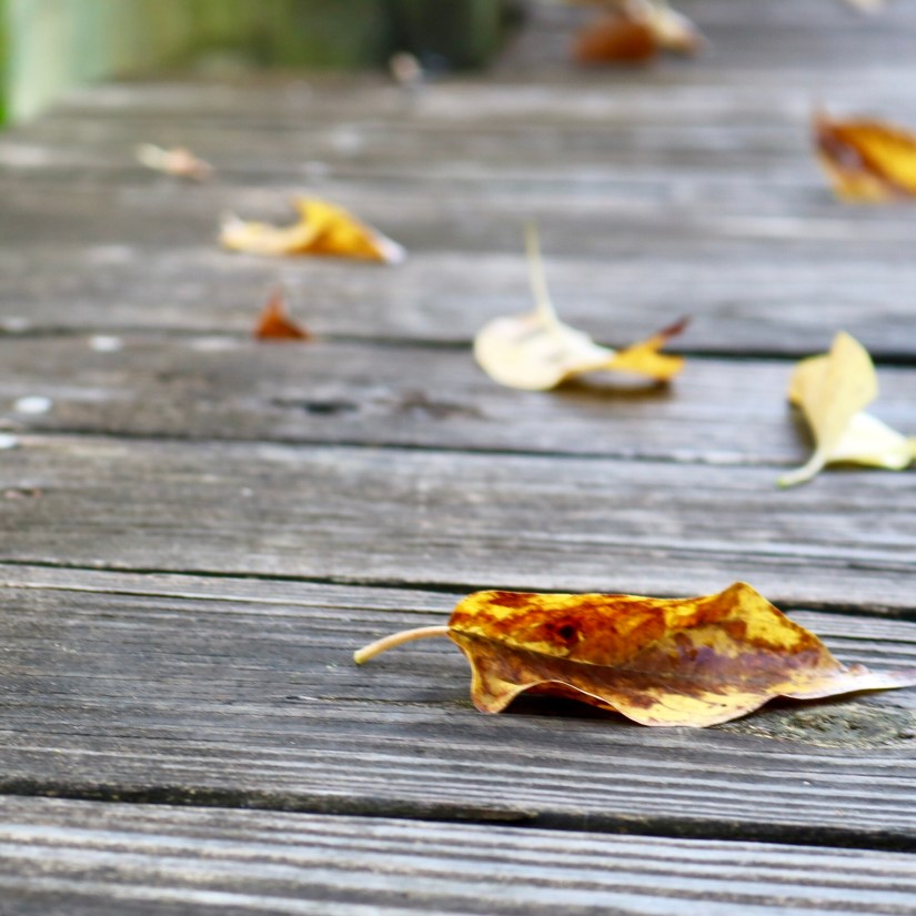 6B4D5916-6382-462A-9D68-4741D4932D51