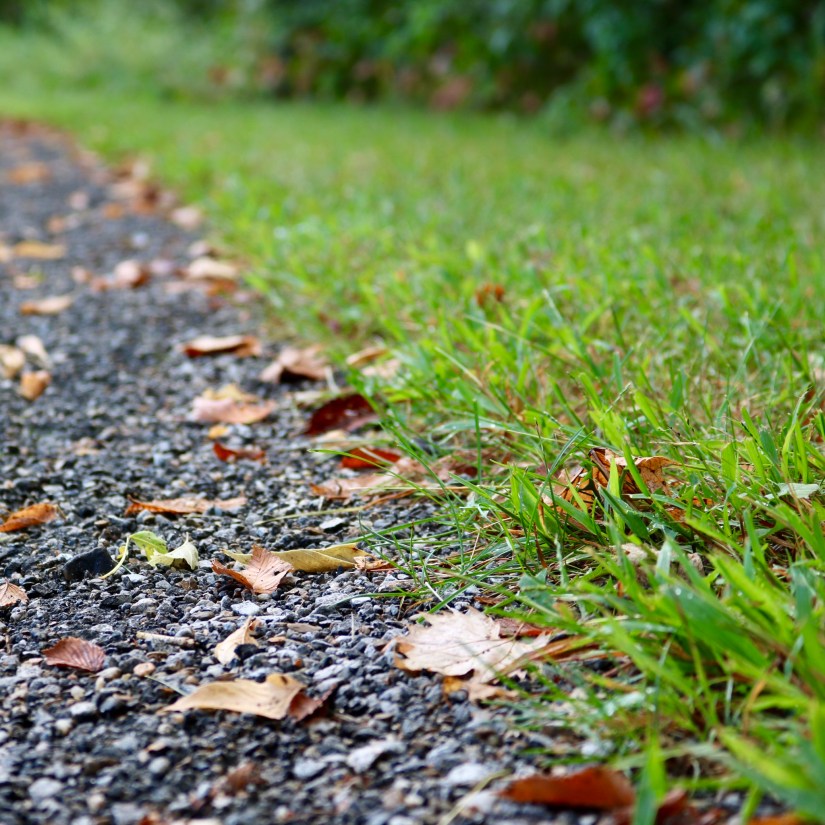 836F1AAE-1DE6-4A16-8562-006D59FE9807