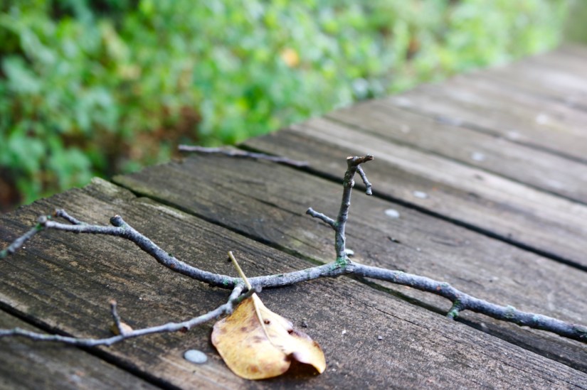 8A06355C-E1B3-4189-B810-97F998243AFE