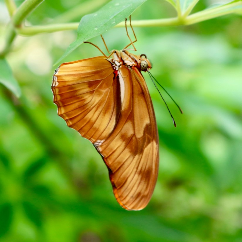 EC6C88F2-C9DE-462B-AA30-489D8D166FC3