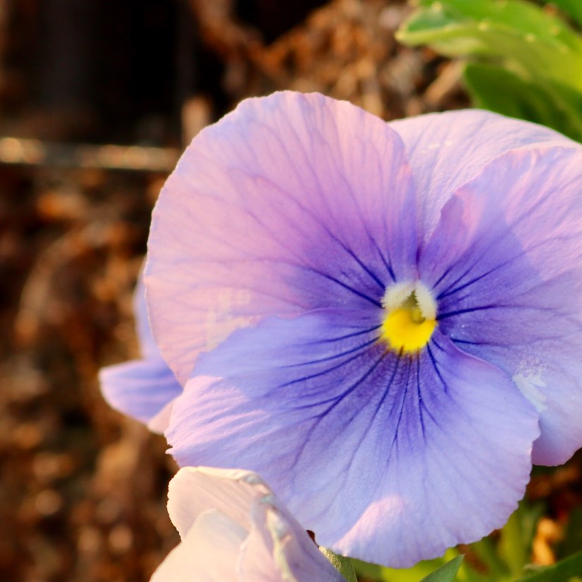 ED61CF41-0B54-496B-A71A-901CA9A5649C