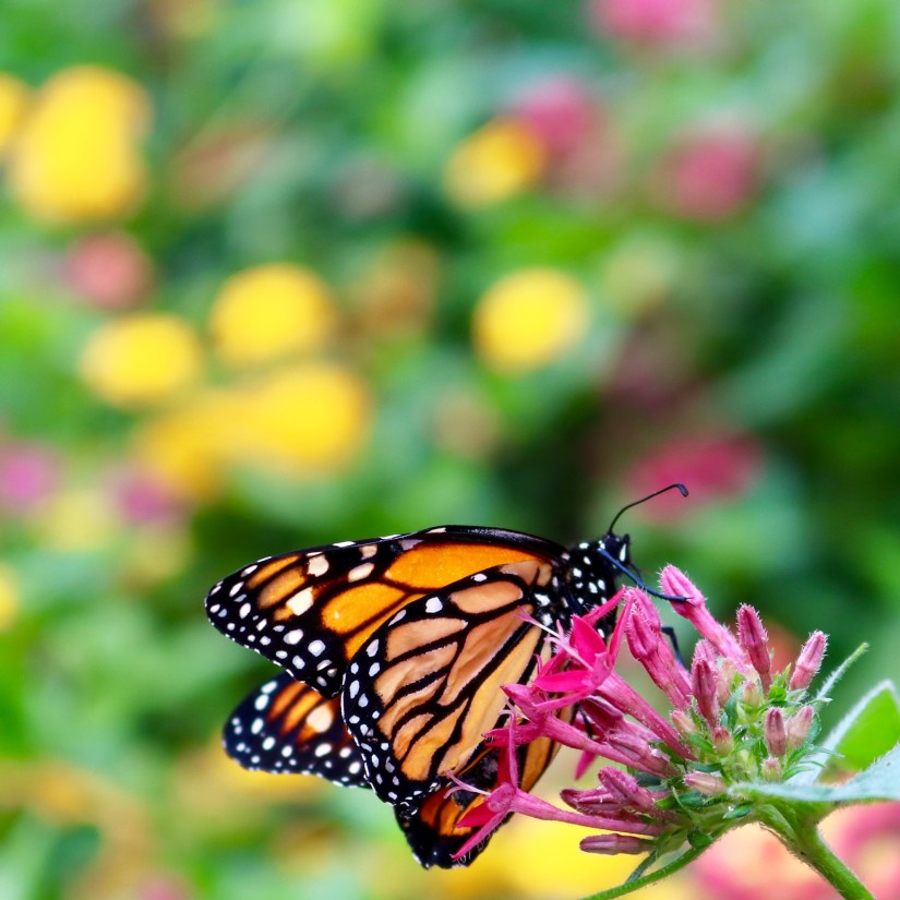 F24CE132-0544-412F-95C0-0090ECC91FE8