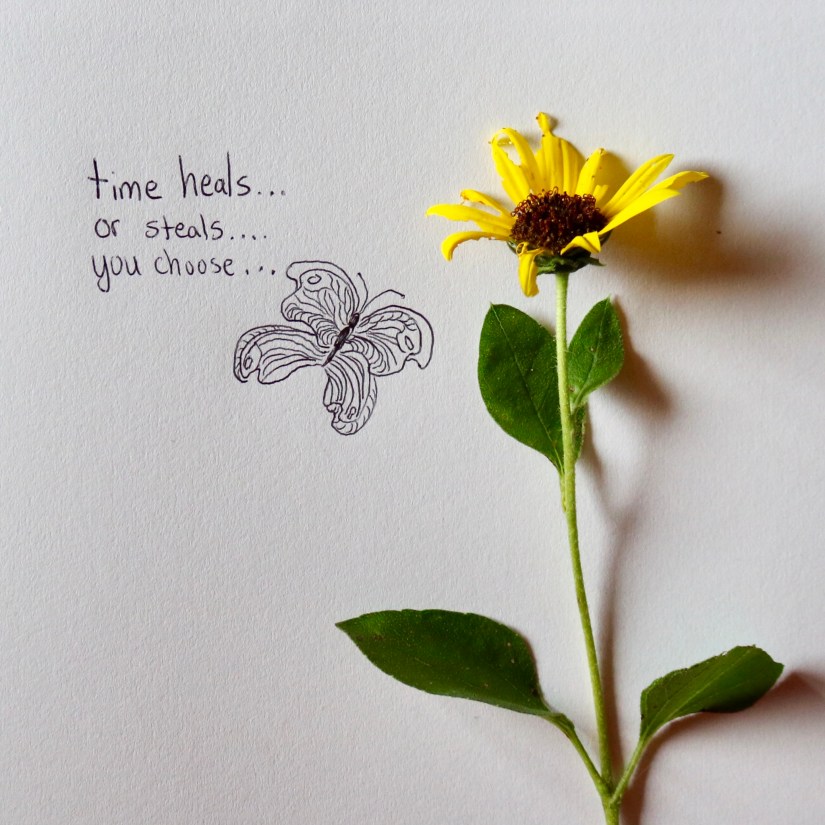 02E0DB67-BB62-49A6-BF50-5599C1068330