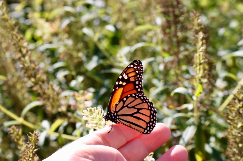 343E3F48-3980-4020-BFE4-8831D769BAE1