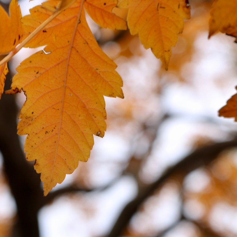 39824614-A396-4333-ABDD-7FCFA72F7918