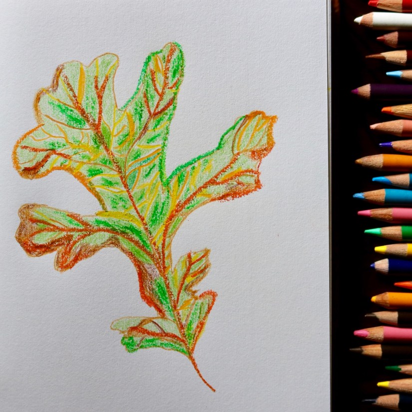 3C537463-2C7B-4FF7-9C19-30A207AAAD1F