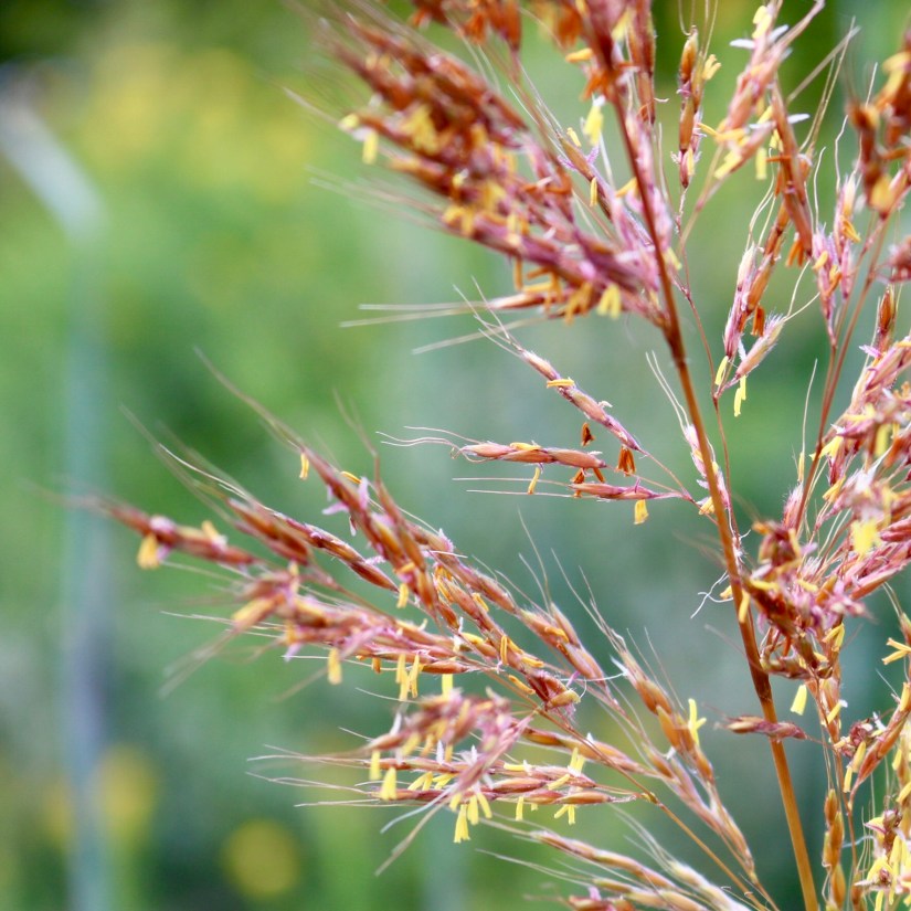 464DE87D-1D3C-4DAD-B27A-59A3ED82EB6E