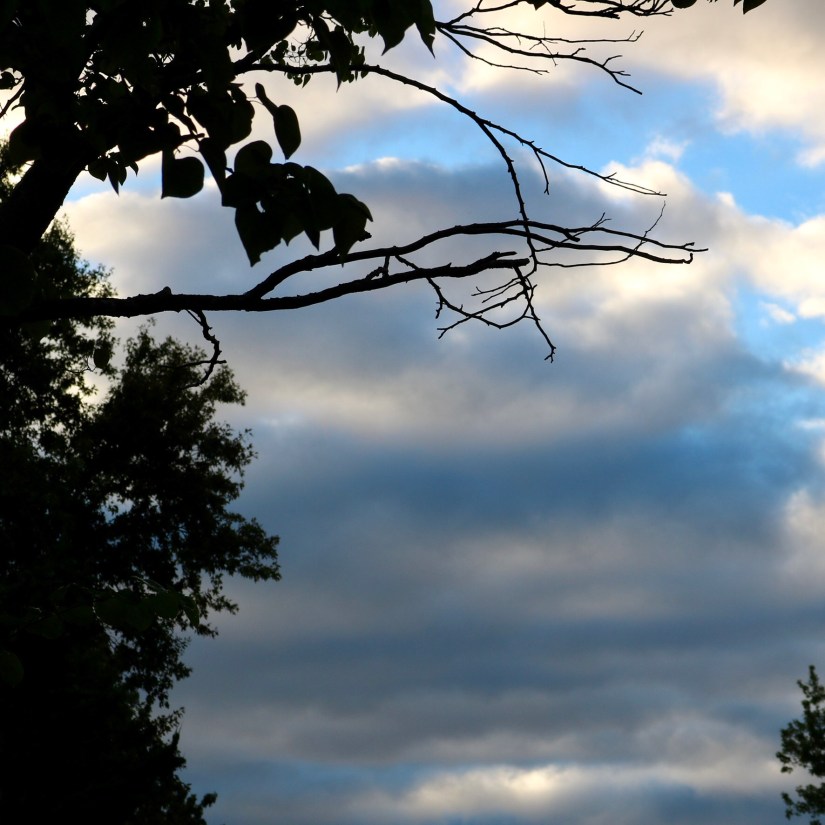 4D793FA0-BA1C-4404-8006-89CA325FDE51