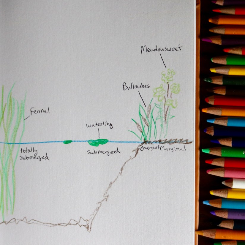 51F81039-0F8B-4BCE-AB04-9BB67CB3068D