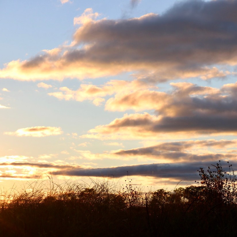 62D40D4B-A531-42F3-9992-2F2ED08F1102