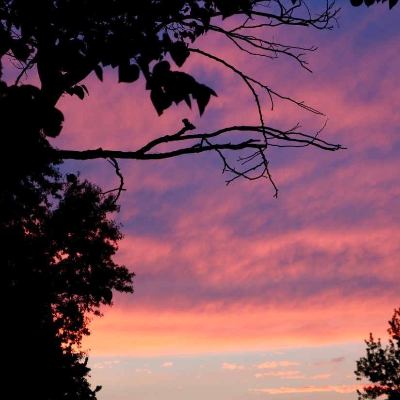 648026C3-04BE-4179-A067-6514C07240C2