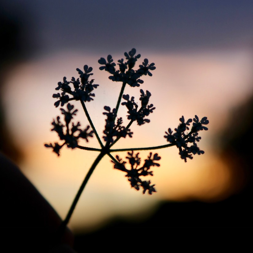 6871A989-0DC0-440E-A71B-4AA8D142E7A7