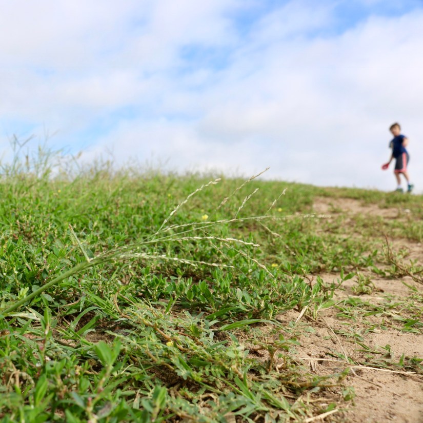 774C5136-965C-40AB-9367-6509A4BDD5C2