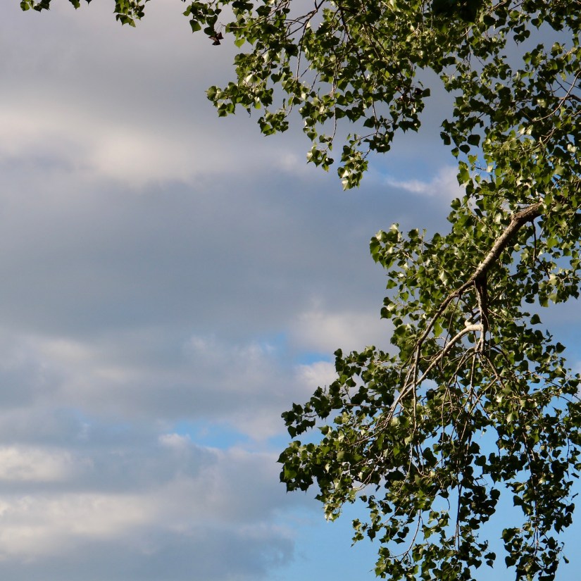 A43D96ED-16A9-41F6-8FB1-450CDF7E6D89