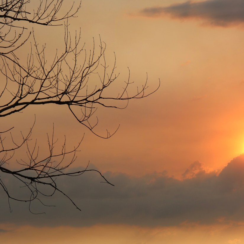 C3ABE53A-4F4F-4403-AF14-87D57DE32447