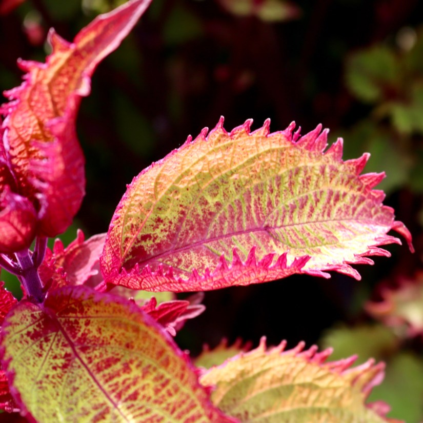 0F3288CA-FA30-4D7D-BE64-62360BA0FE60