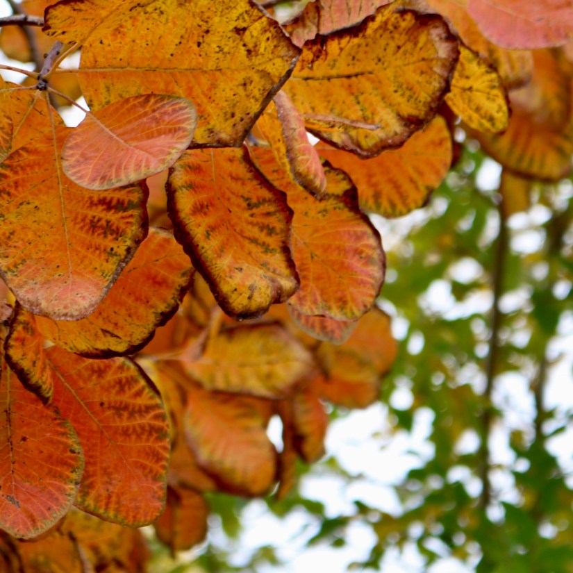 1486D4E2-4C4E-4042-8F9D-D9F63AE6FA49