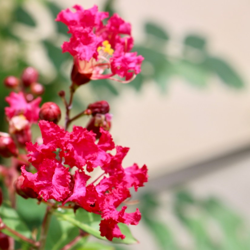 1A47FBC7-A978-415E-904F-254B778748DD